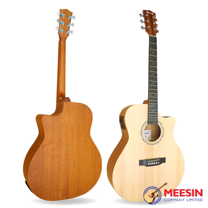 Paramount QAG511EN 41” Cutaway Grand Auditorium All Solid Acoustic